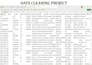clean messy excel data,  remove duplicates and format spreadsheet